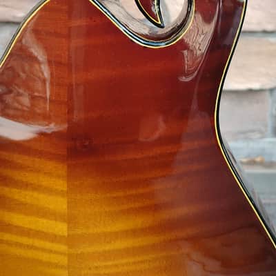 Holst F-4 Hybrid 2023 - Sunburst image 12