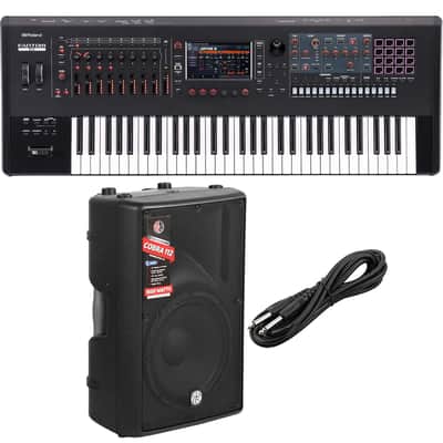 Roland Fantom 6 EX Synthesizer Workstation, PSG Audio Cobra 12, 1/4 Cable Bundle
