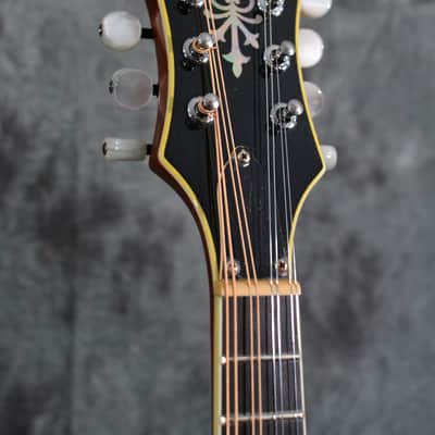 Michael Kelly Legacy Plus F Style Mandolin w Deluxe Hardshell Case & FAST Shipping image 3