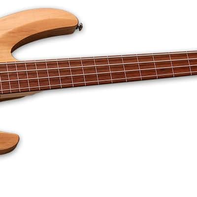 ESP LTD B-204SM FL Spalted Maple Fretless Bass Guitar, Natural Satin image 5