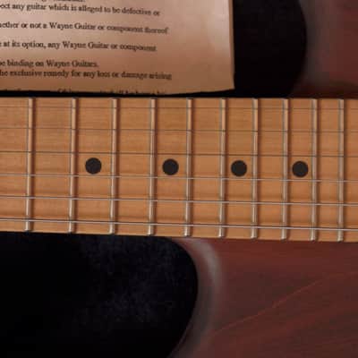 Wayne Charvel Guitars Monster handmade by himself image 5