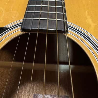 Rogue RG-624 Left-Handed Acoustic Guitar (Used) image 11