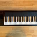 Expressive E Osmose 49-Key 24-Voice Polyphonic Synthesizer 2022 - Present - Black