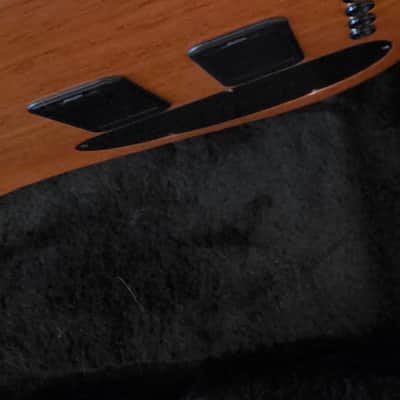 Carvin Vanquish 5 2014 - Spalted Maple image 10
