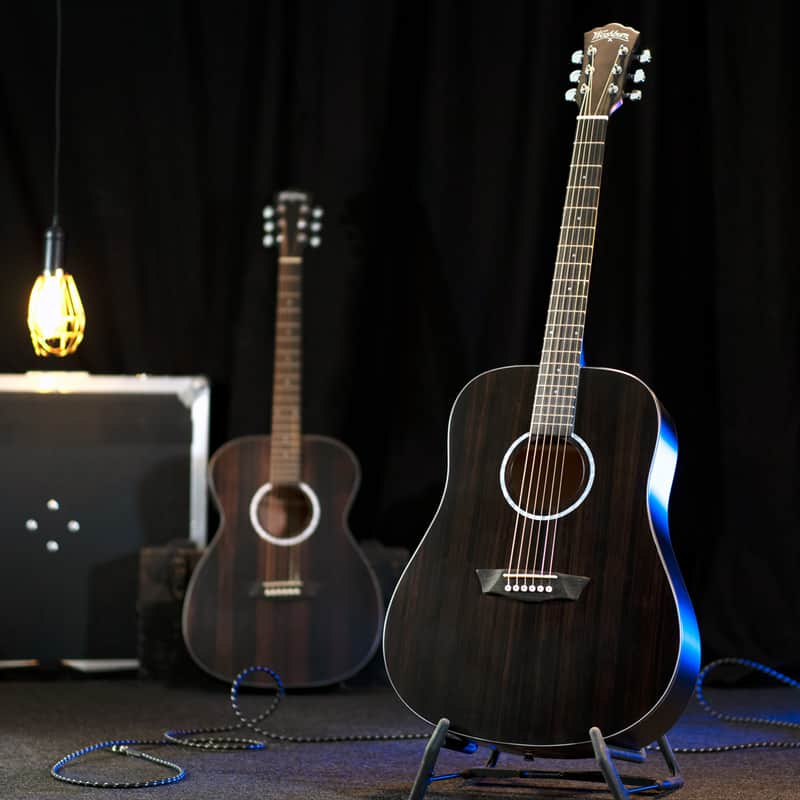 Washburn DFED Forest Dreadnought Shape Striped Ebony Ace Wood Mahogany Neck 6-String Acoustic Guitar image 1