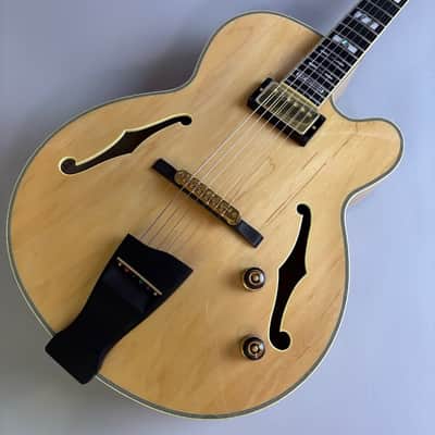 Ibanez PM200 2025 image 1