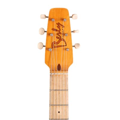 Berly Guitars Thinline T-Style Guitar Aged Black Used image 13