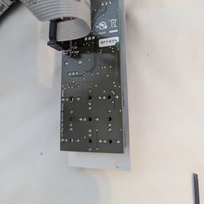 Mutable Instruments Ripples 2014 - Present - Silver Bild 3