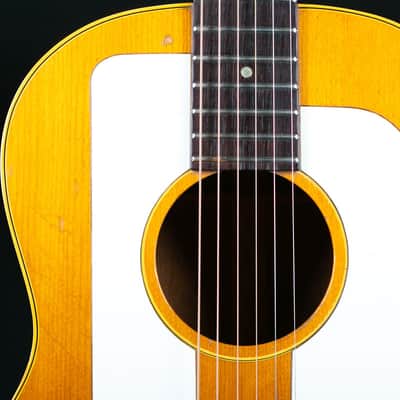 Gibson F-25 1965 image 15