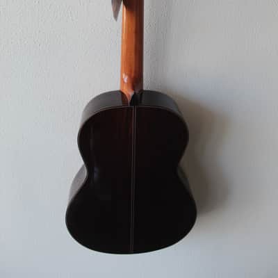 Brand New Alhambra 10 Premier Nylon String Classical Guitar image 7