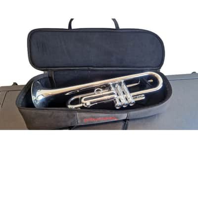 pTrumpet Silver - Excellent w/ Soft Case image 1
