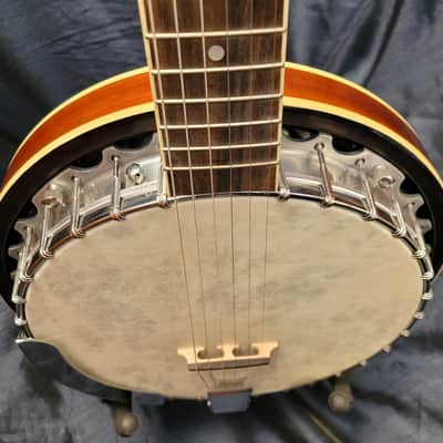 Beaver Creek BCBJ-G 6-String Banjo - Mahogany image 7