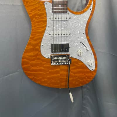 Tagima Classic Series Stella DW Amber image 2
