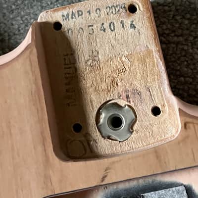 Fender American Professional Stratocaster guitar body unfinished image 2