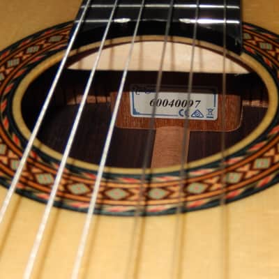 TAKAMINE No200FH 2022 - SWEET & POWERFUL CLASSICAL GUITAR -  ALL SOLID WOODS image 6