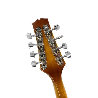 A-Style 8-String Acoustic-Electric Mandolin with Built-In Pickup, Gig Bag & Accessories image 3