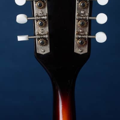 Kay 395 Electric Mandolin 1960s / Anyone for Venice? image 8