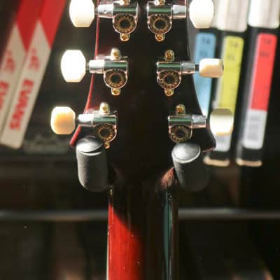PRS DGT David Grissom Tremolo Signature 10-Top 2024 - McCarty Sunburst image 8