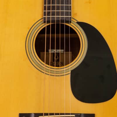 Daion YF-10 Acoustic Six String (built by Yamaki) image 2