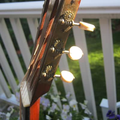 John C. Haynes Bay State Brazilian Rosewood Guitar image 17