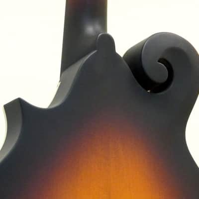 Eastman Mandolin MD315E-SB Sunburst Finish image 8