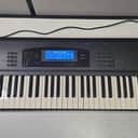 Korg 01/WFD Music Workstation with Blue LCD upgrade, gigbag & Owners Manual