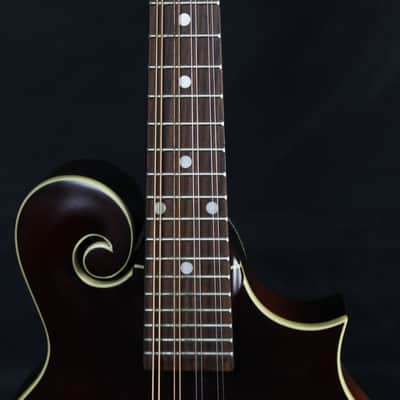 The Loar LM-590-MS  All Solid F-Style Mandolin NEW! FREE SHIPPING! w/ Gigbag image 8