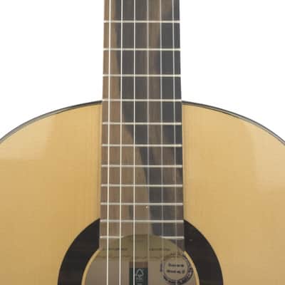 Alhambra GS Flamenco Guitar 2025 image 3