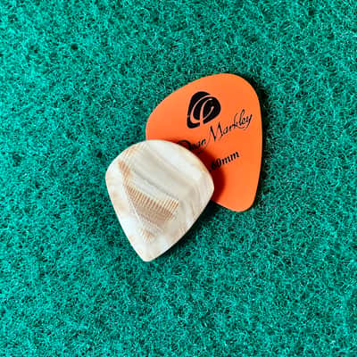 Seashell guitar pick/10.3mm thick, jazz profile… by BeachSidePicks image 3
