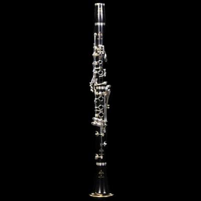 Buffet-Crampon R13 Professional Bb Clarinet - Silver Plated Keys BC113120 image 1