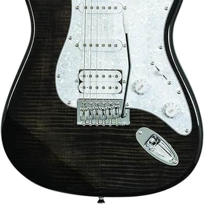 Washburn Sonamaster 6 String Solid-Body Electric Guitar, Right, Transparent Black (SDFTB) image 1