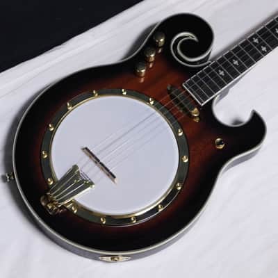 Gold Tone EBM-5 F-style electric 5-string Banjo w/ CASE - Planet Tuners -B-stock image 4