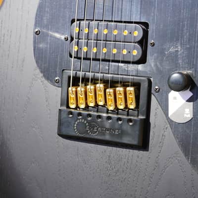 ESP LTD SIGNATURE SERIES AW-XJ7 Baritone Evertune Black Open Grain Stain 7-String Electric Guitar (2025) image 7