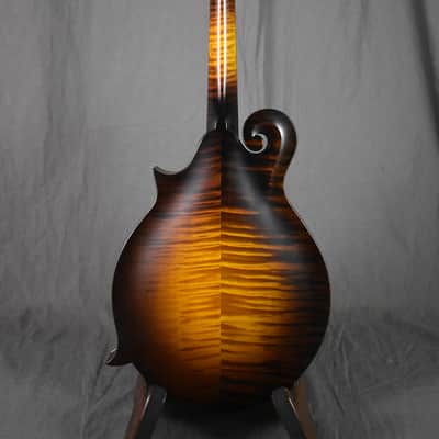Collings MF Gloss Top image 19