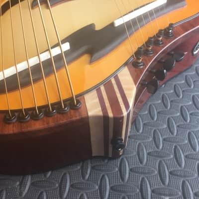 Extraordinary Near Mint Virtuoso Custom Telesis Bespoke 20 String Electro-Acoustic Harp Guitar image 9