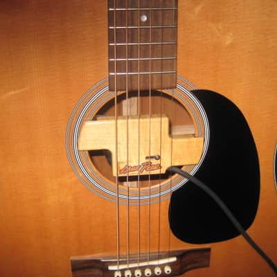 Rare Lane Poor Acoustic Pickup image 3