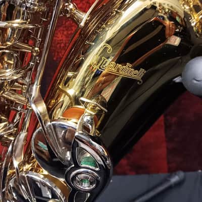 Giardinelli GAS-300 Alto Saxophone (White Plains, NY) image 2