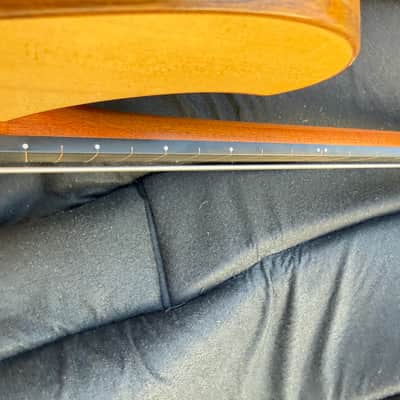 Svoboda Acoustic Electric Bass - Freted or Fretless 2021 - Clear Mat image 14