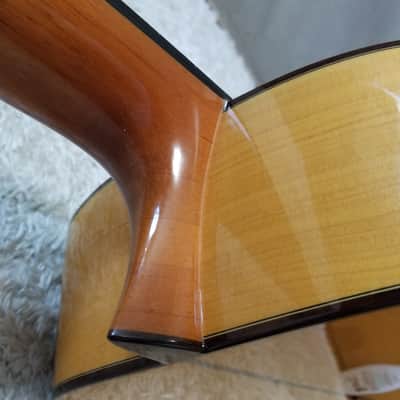 Aria Flamenco AC-150F (Spain) image 14