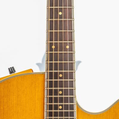 Daion The Year Series '81 Caribou - Tinted Tan (TAN) - Electric Acoustic Six String image 2