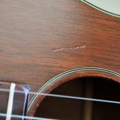 1950's Martin Tenor Ukulele Style-1T W / Crossrock Tweed Case image 15