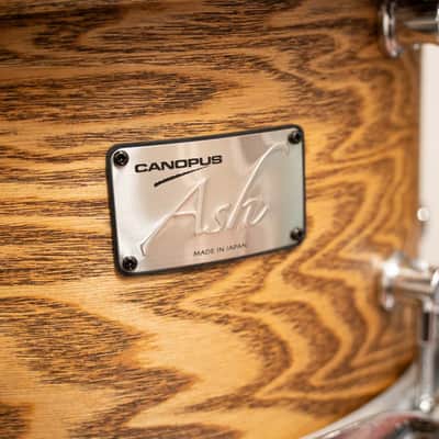 Canopus Ash Series Standard Kit 18" 12" 14" w/ Clamp & Stand image 4