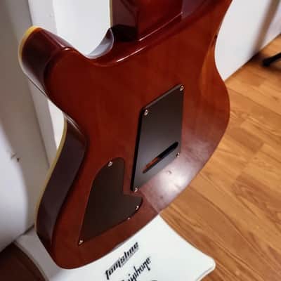 PRS Custom 24 - Natural Burst image 20