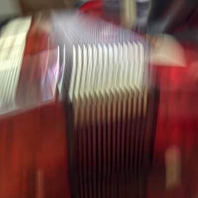 Galotta 48 bass piano accordion 1970’s image 9