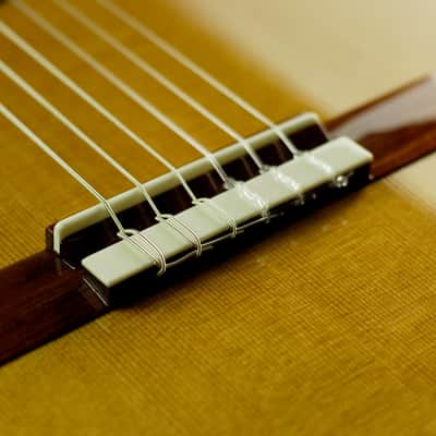 Cordoba Esteso Cedar 2020 Natural Gloss - B-Stock image 7