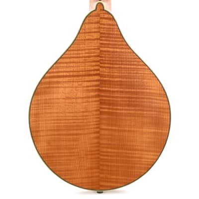 Bourgeois M5 A-Style Mandolin Aged Tone Torrefied Adirondack/Flame Maple Natural (Serial #M2309007) image 3