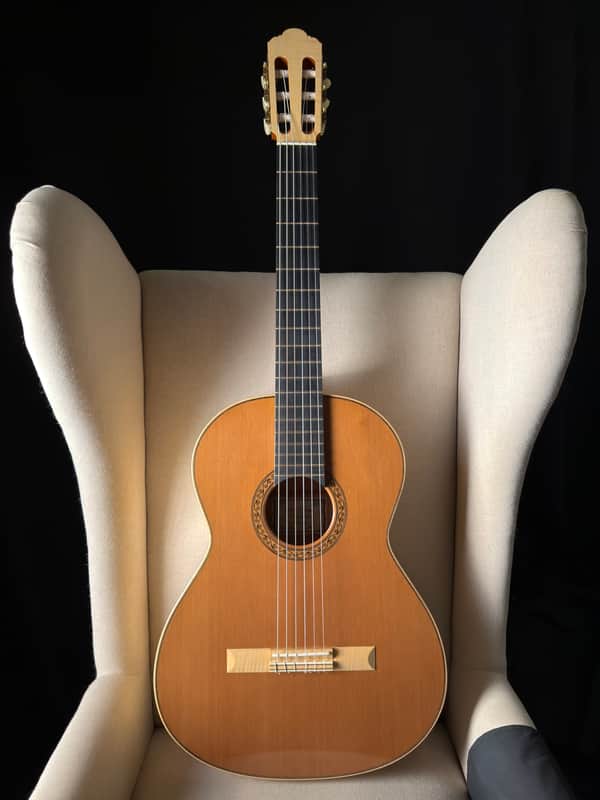 Joshia de Jonge Concert Model Classical image 1