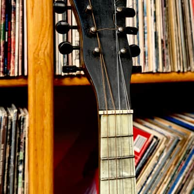 1922 May Flower Chicago Banjo-Mandolin // Larson Brothers Era // Museum-Grade Vibe image 2
