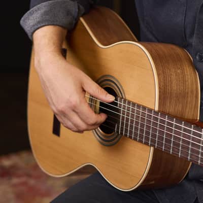 Ortega R20GWN Traditional Series Solid Cedar Top Mahogany Neck Nylon 6-String Classical Acoustic Guitar w/Gig Bag image 21