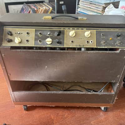 Magnatone Estey Custom 260 Combo image 2